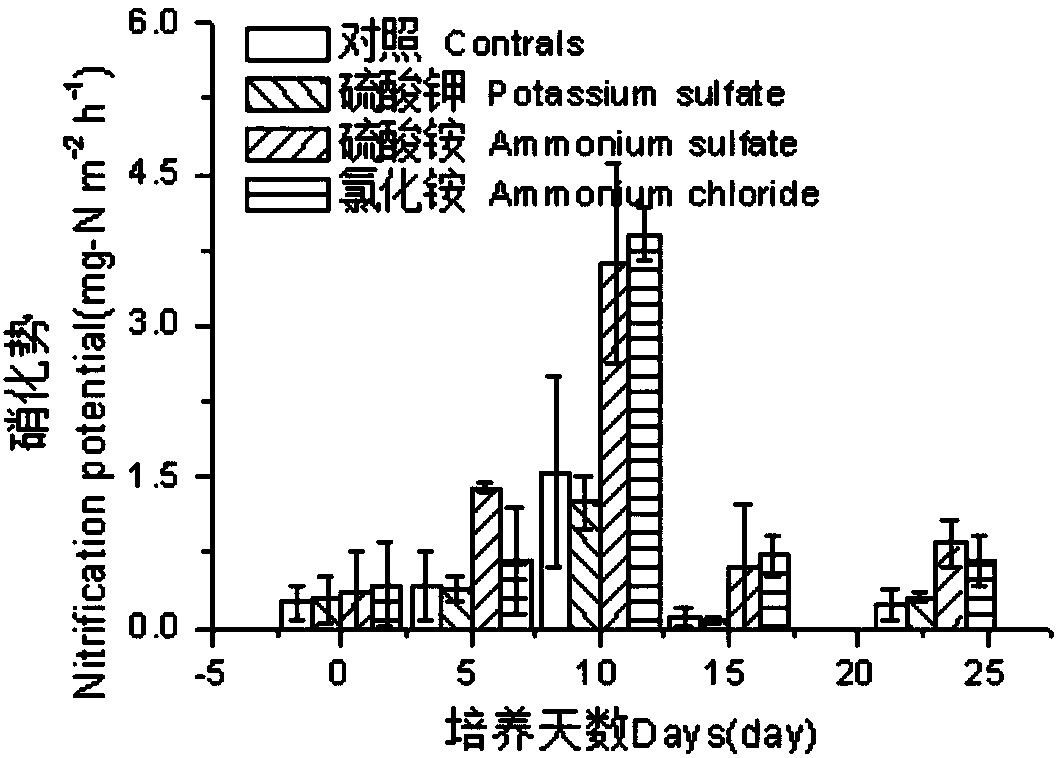 Ammonium-sulfate-coated urea nitrogen fertilizer, ammonium-sulfate-coated urea sustained-controlled release fertilizer and their preparation and application