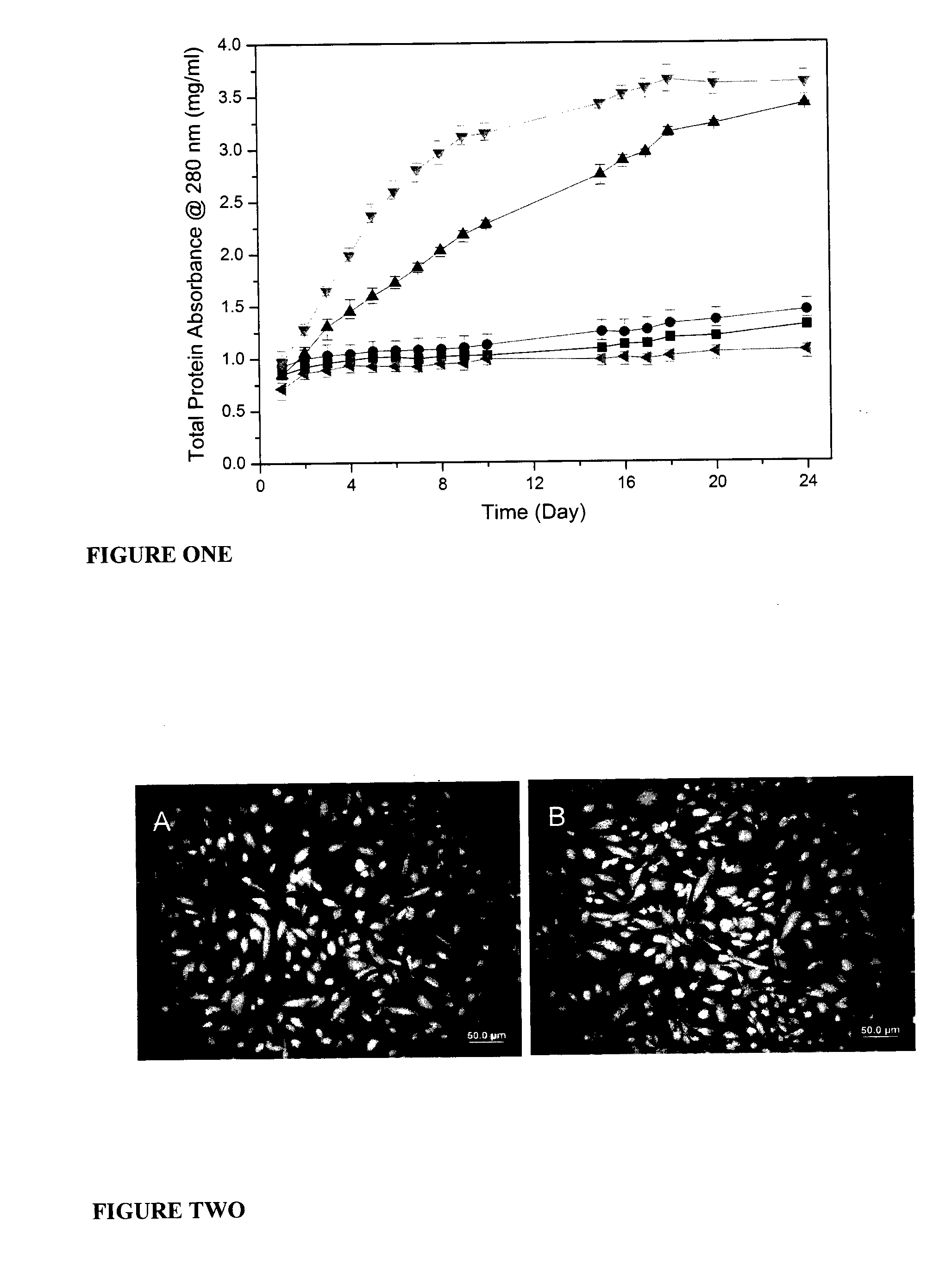 Microfabricated scaffold structures