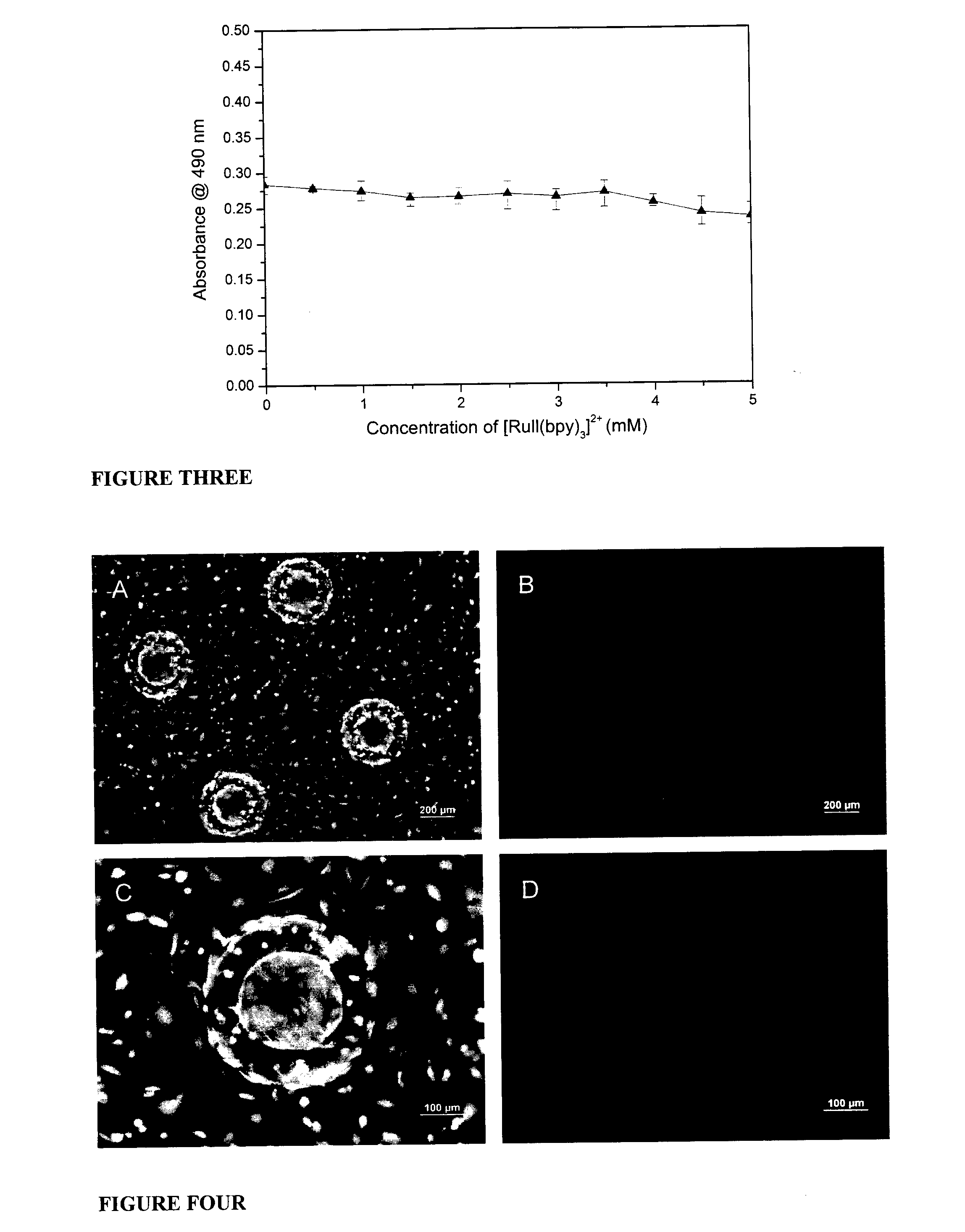 Microfabricated scaffold structures