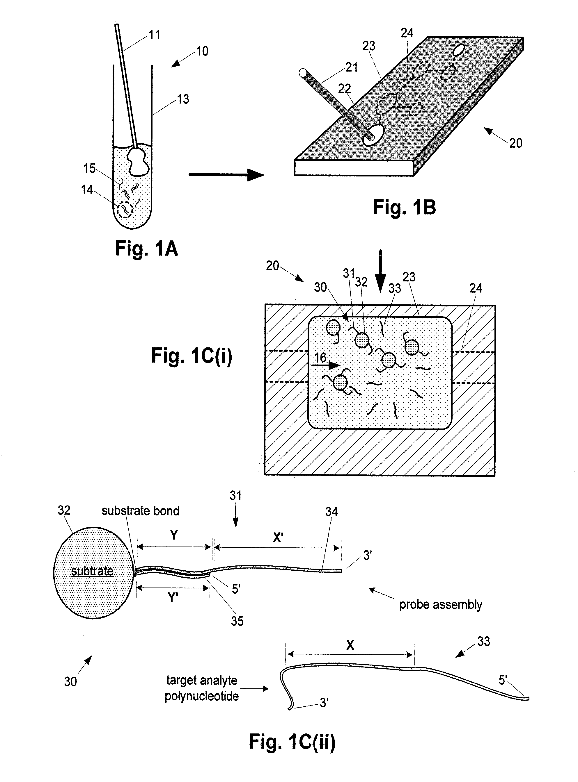 Nanoelectronic Detection of Biomolecules Employing Analyte Amplification and Reporters