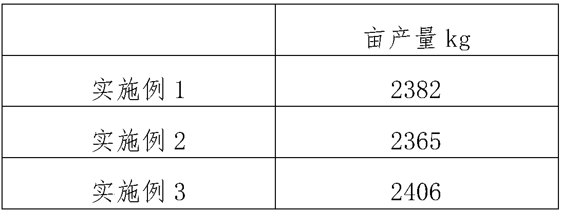 Special fertilizer for witloof and preparation method thereof