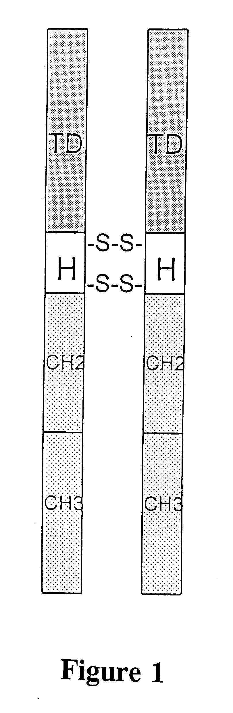 Neovascular-targeted immunoconjugates