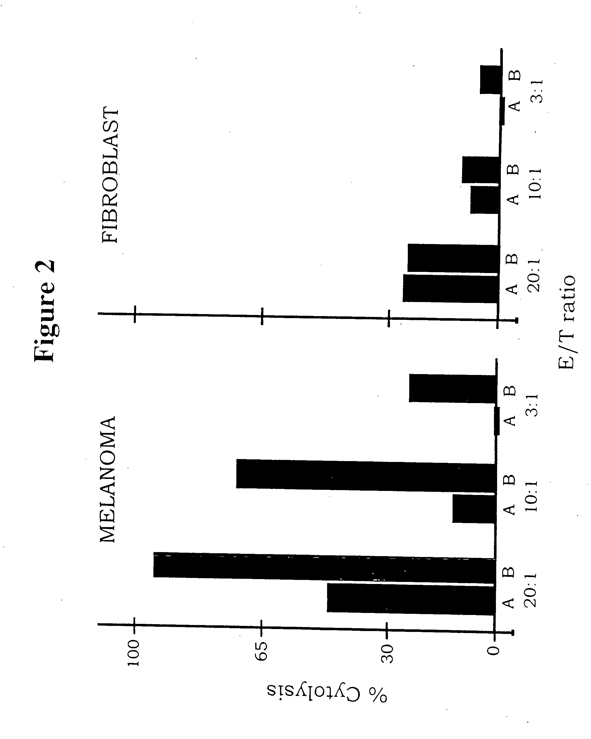 Neovascular-targeted immunoconjugates