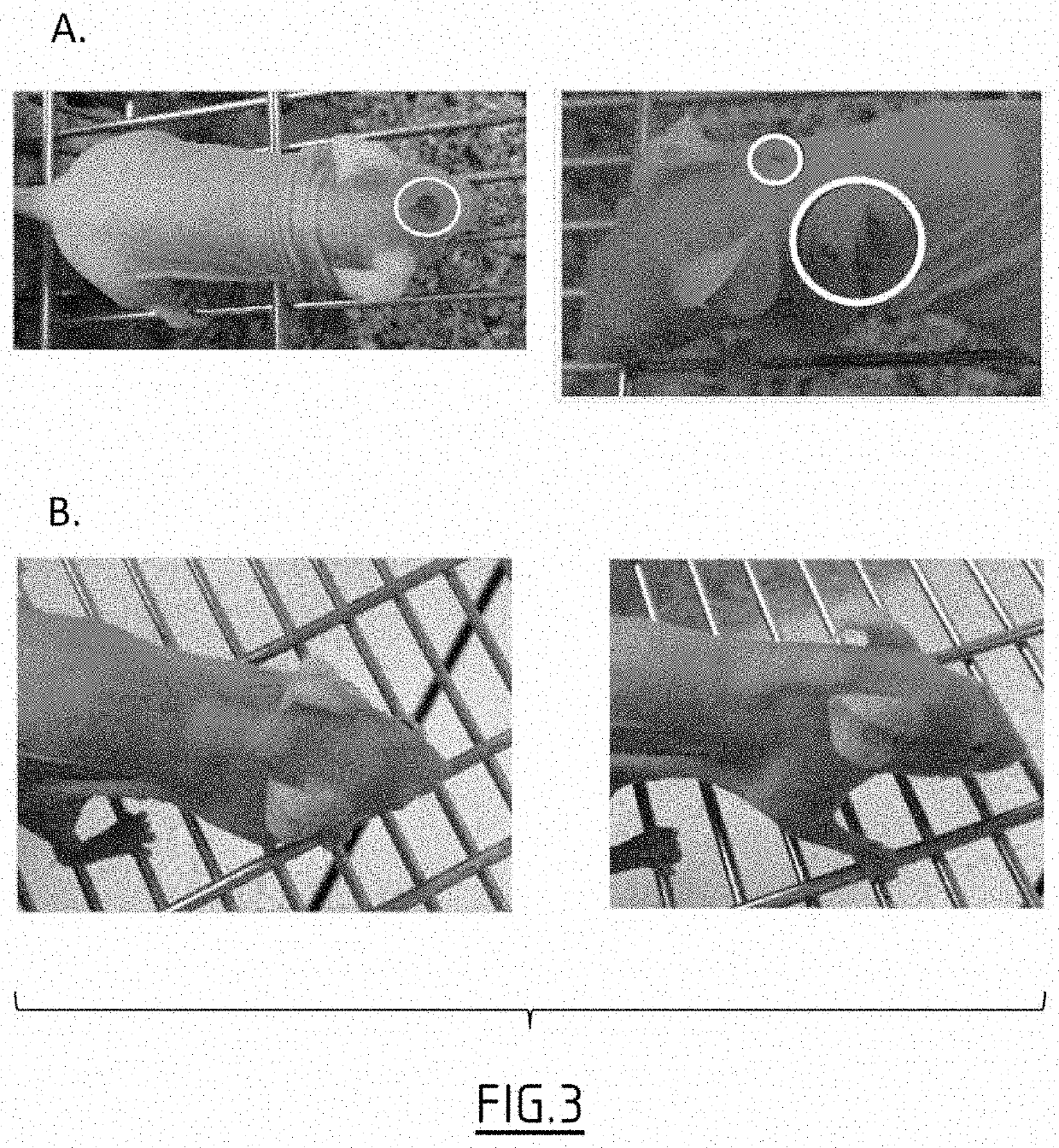 Polymeric prodrugs and subcutaneous and/or intramuscular administration thereof