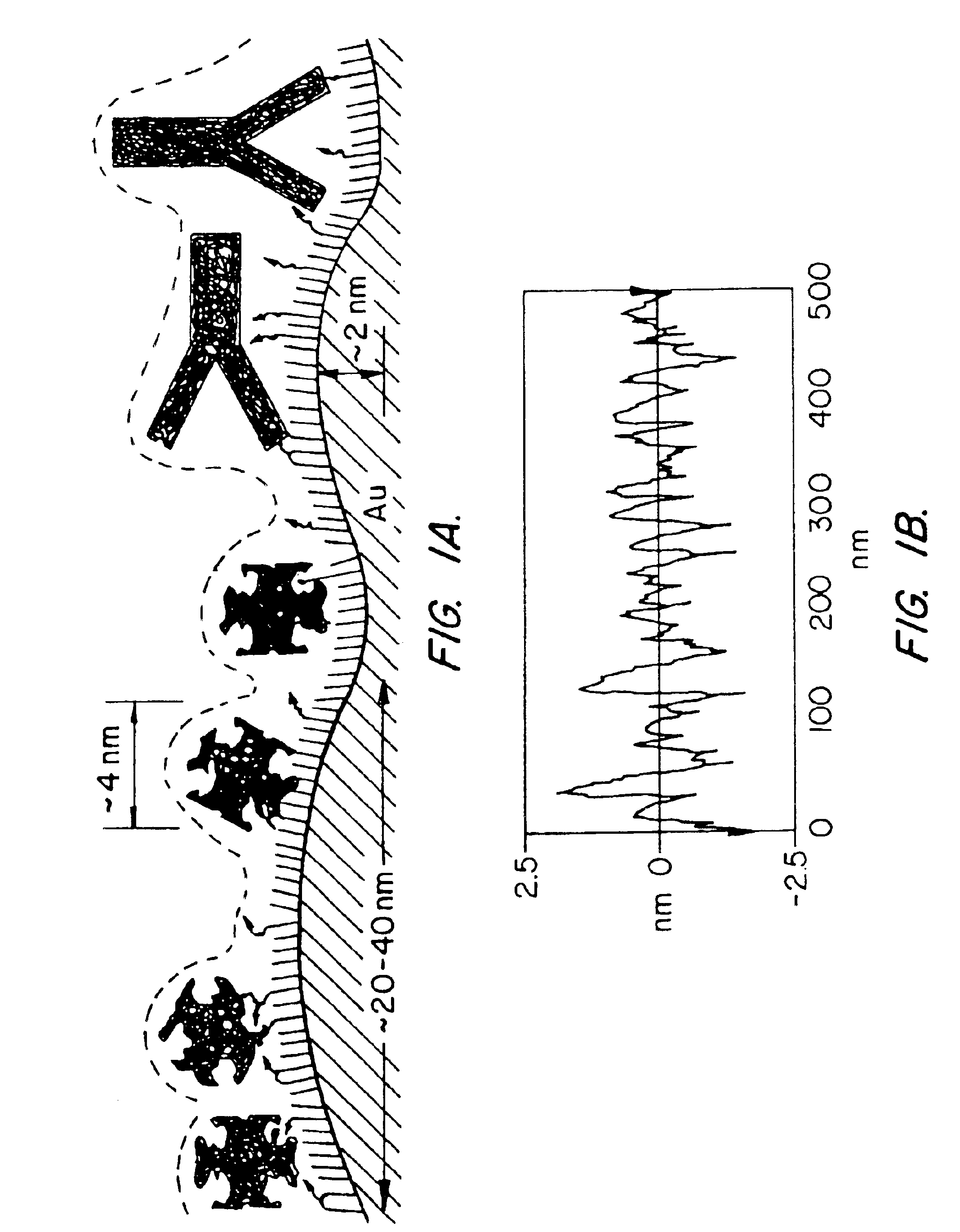 Optical Amplification of molecular interactions using liquid crystals