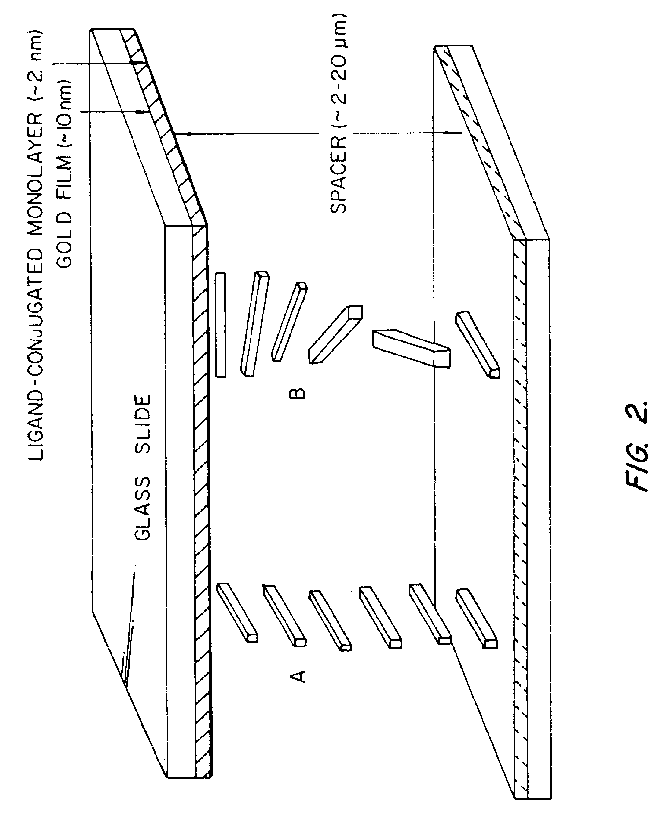 Optical Amplification of molecular interactions using liquid crystals