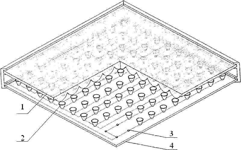 High-power compound-eye type concentrator solar cell module