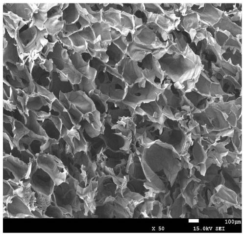 Sodium alginate-chitosan dressing loaded with tetrahydrocurcumin nanoparticles and preparation method thereof