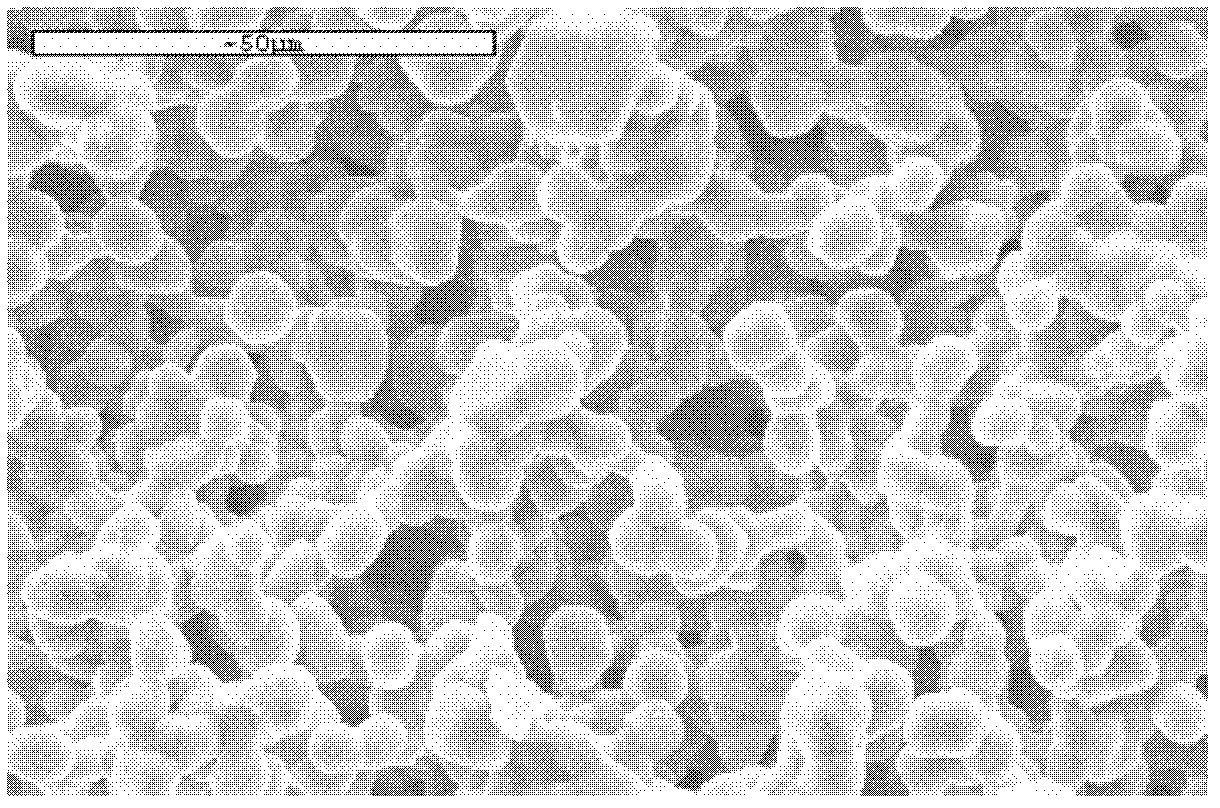 Gradient-porosity pure silicon carbide membrane tube and preparation method thereof