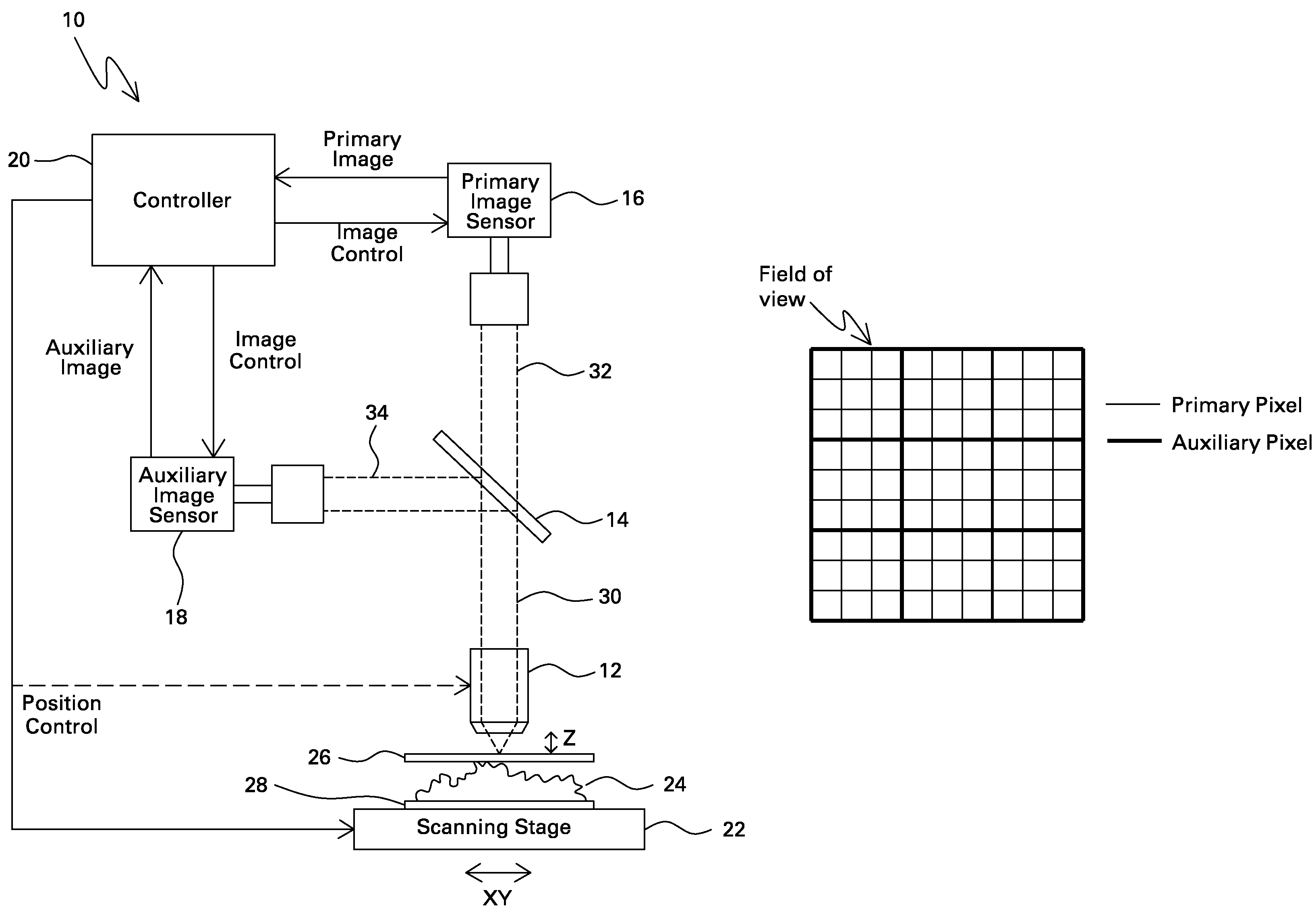 Microscope with dual image sensors for rapid autofocusing