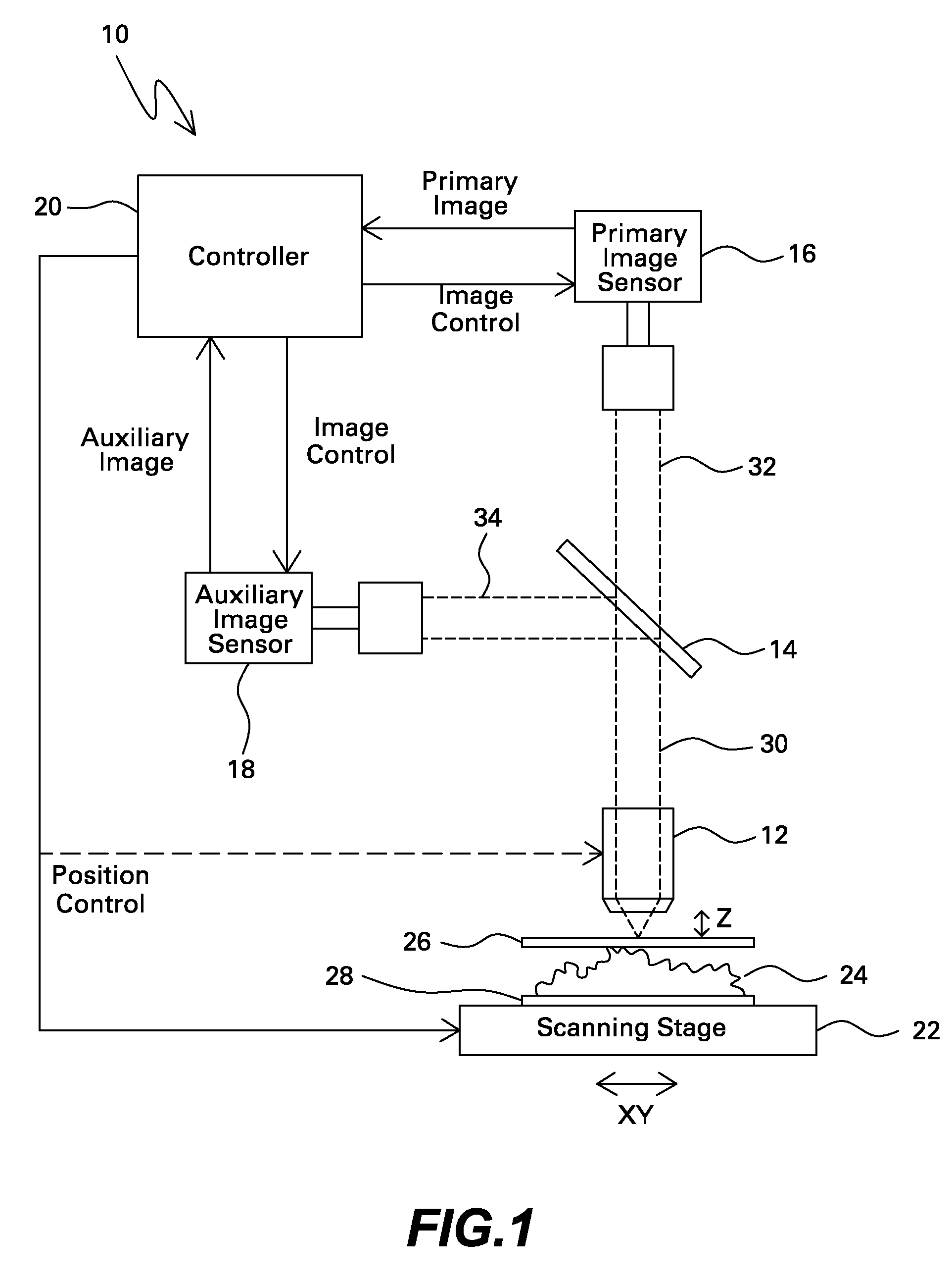 Microscope with dual image sensors for rapid autofocusing