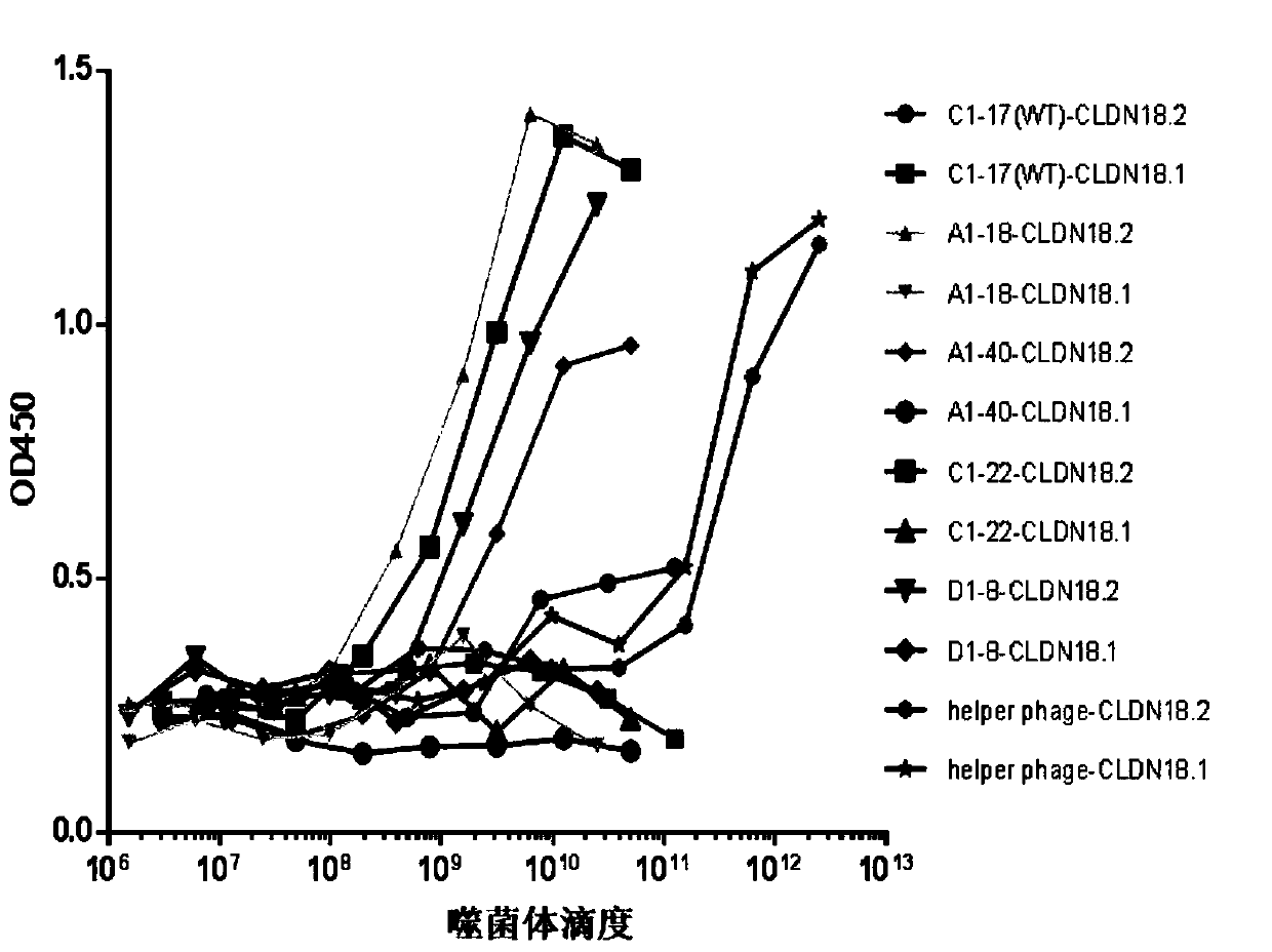 Anti-Claudin 18_2 antibody and application thereof