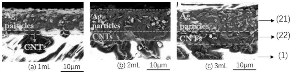 A kind of stretchable strain sensor and its preparation method and application