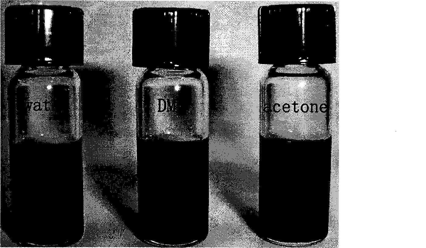 Sulfonated mono-layer graphite and polymer compound material and preparation and application thereof