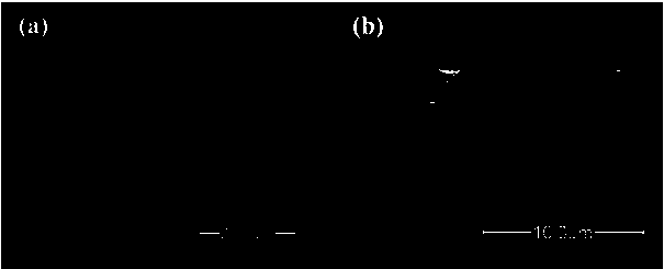 Porous complex composite film oxygen sensor as well as preparation method thereof