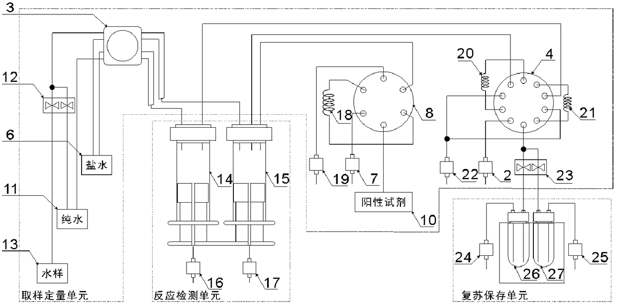 Automatic monitoring equipment and method for multi-species water quality biotoxicity