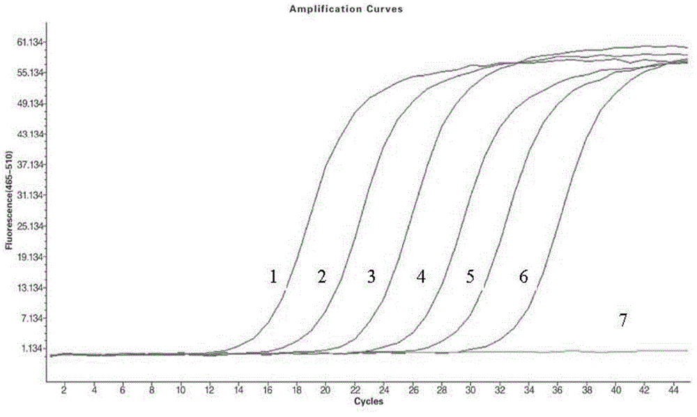 Haemophilus paragallinarum fluorogenic quantitative PCR detection method