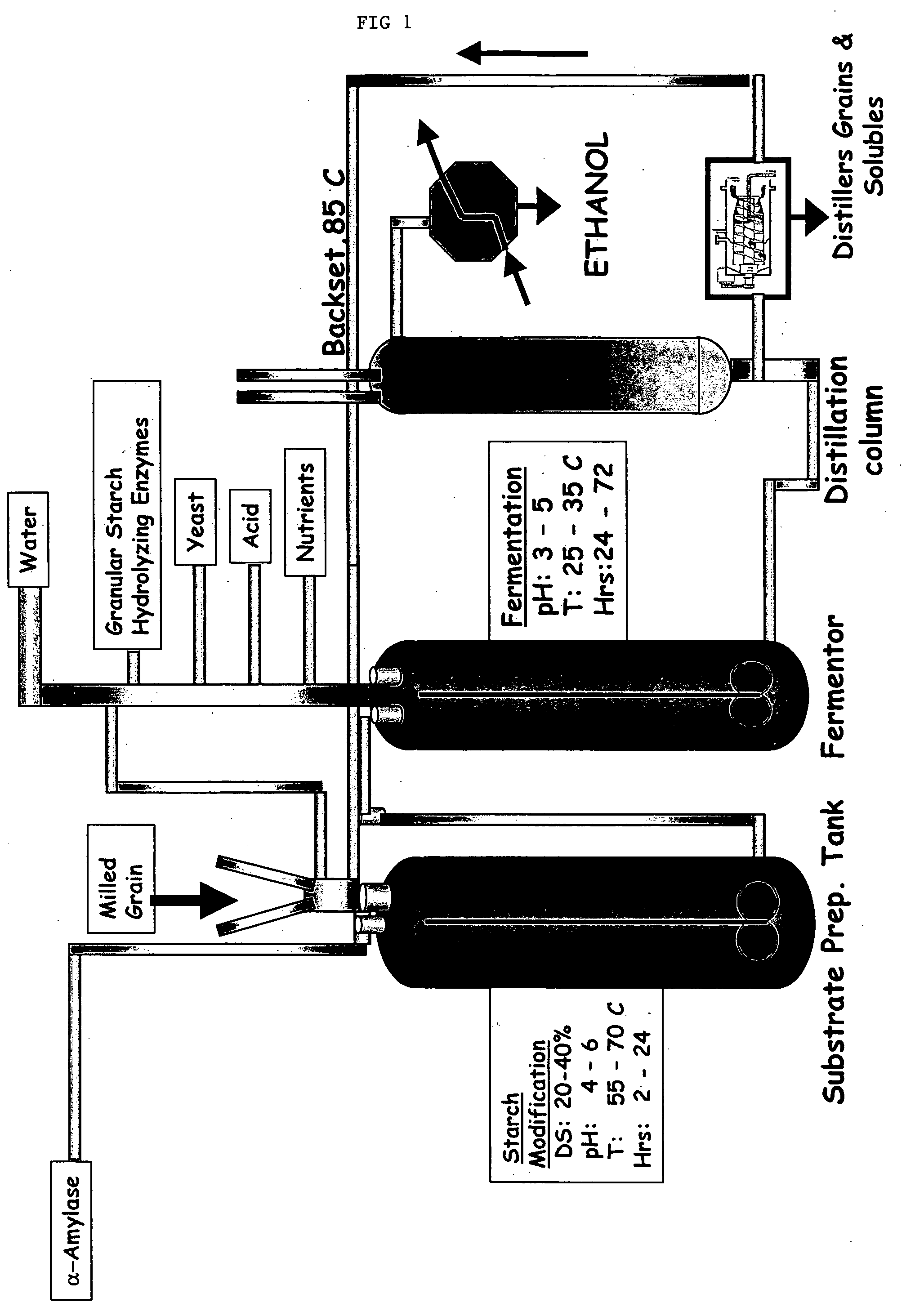 Process for conversion of granular starch to ethanol