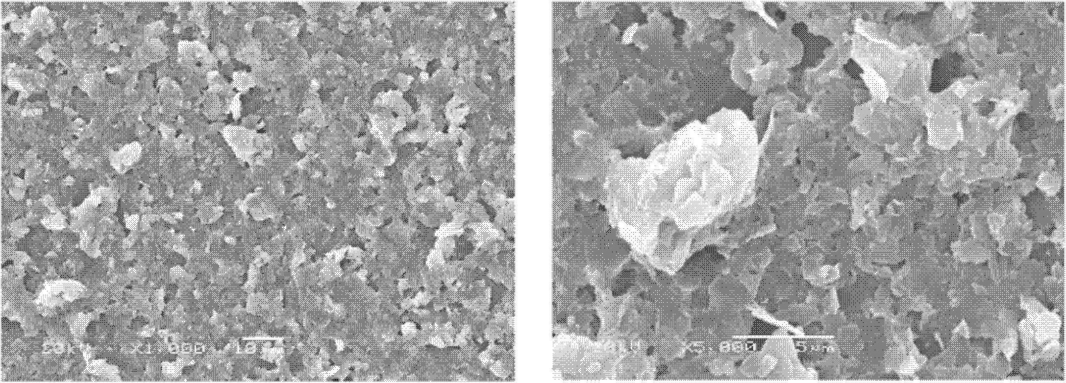 Method and reagent for cleaning and repairing discarded reverse osmosis film in offline mode