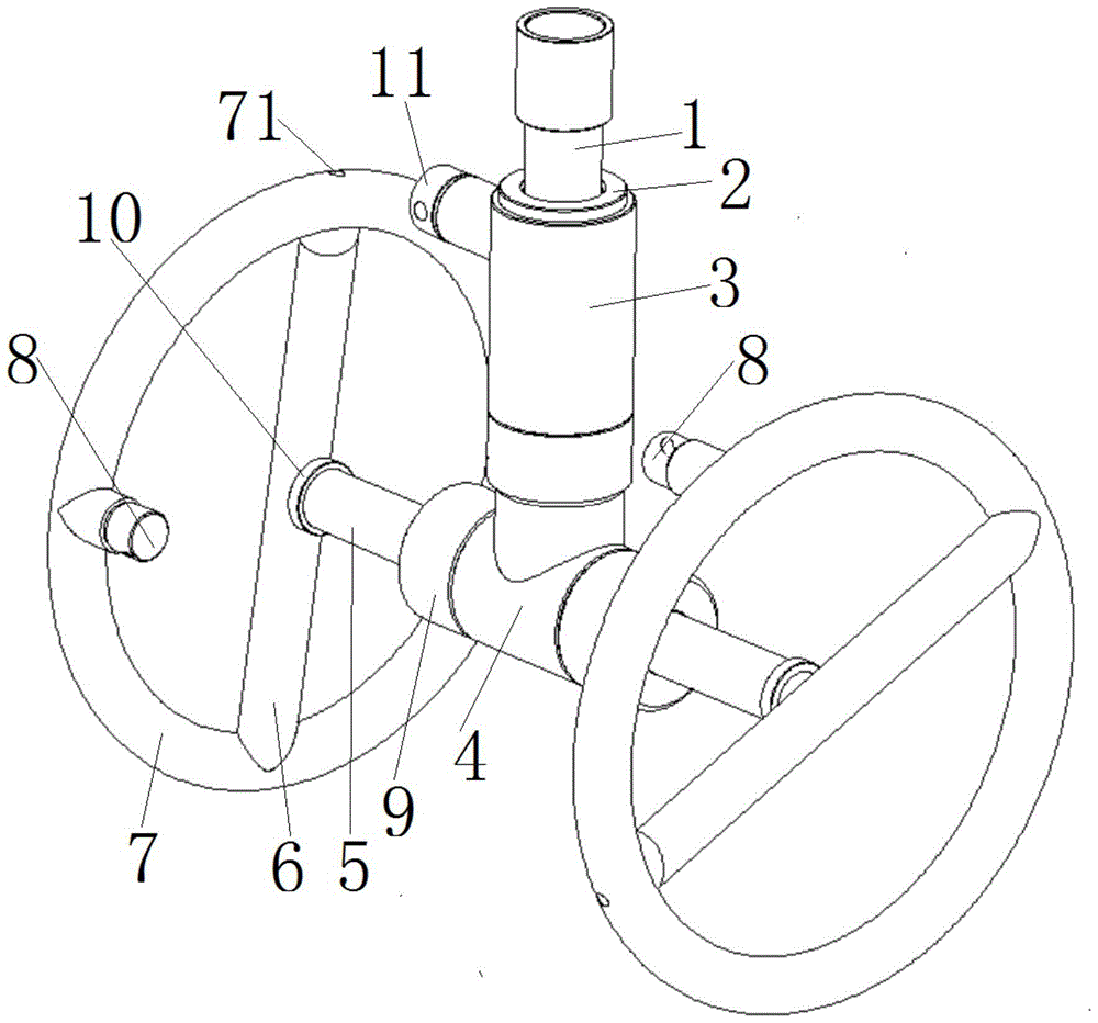 A ring self-cleaning device