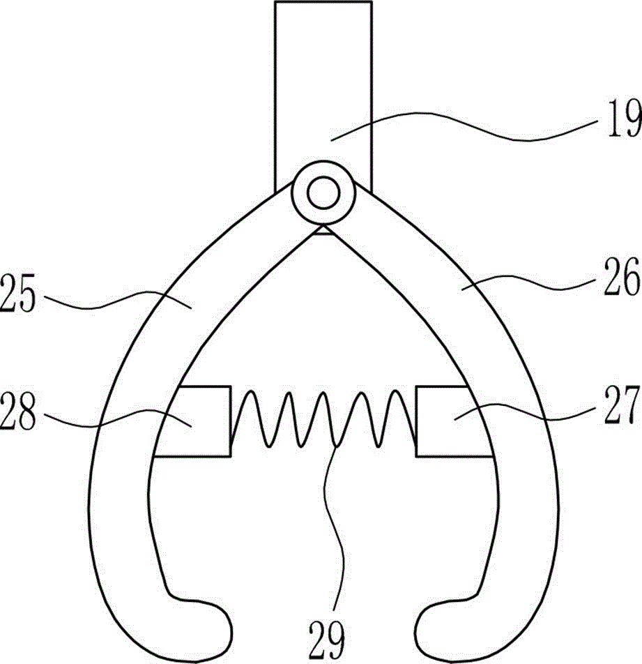 Sapling scarification device for landscaping