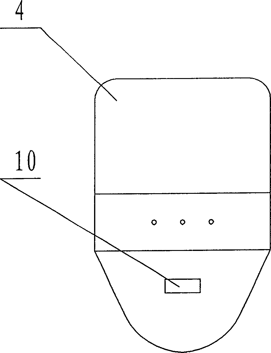 Fulgerizing sterilizer of oese (needle)