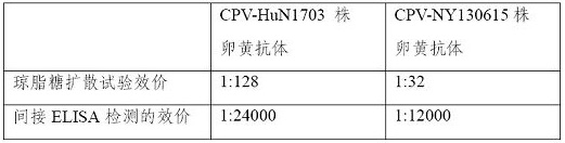 Canine parvovirus egg yolk antibody and preparation method thereof