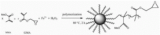 Magnetic field-induced preparation method of molecularly-imprinted magnetic enrichment material of trace quantity of chlorophenol pollutant molecules in seawater