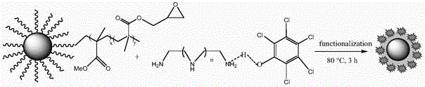 Magnetic field-induced preparation method of molecularly-imprinted magnetic enrichment material of trace quantity of chlorophenol pollutant molecules in seawater