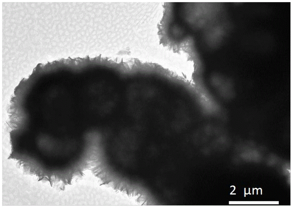 Preparation method of γ-alumina nanomaterial and nickel/γ-alumina catalyst