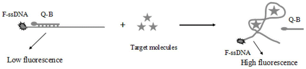 Fluorescence detection method for isocarbophos and profenofos based on aptamer