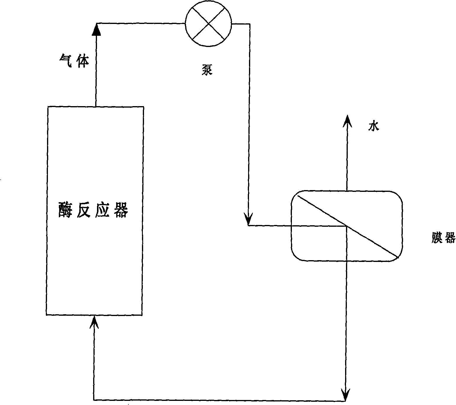 Bio diesel oil preparation technique using enzyme method of membrane on-line dehydration