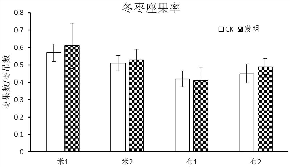 Special fertilizer for winter jujubes in Tibet Nyingchi as well as preparation method and application thereof