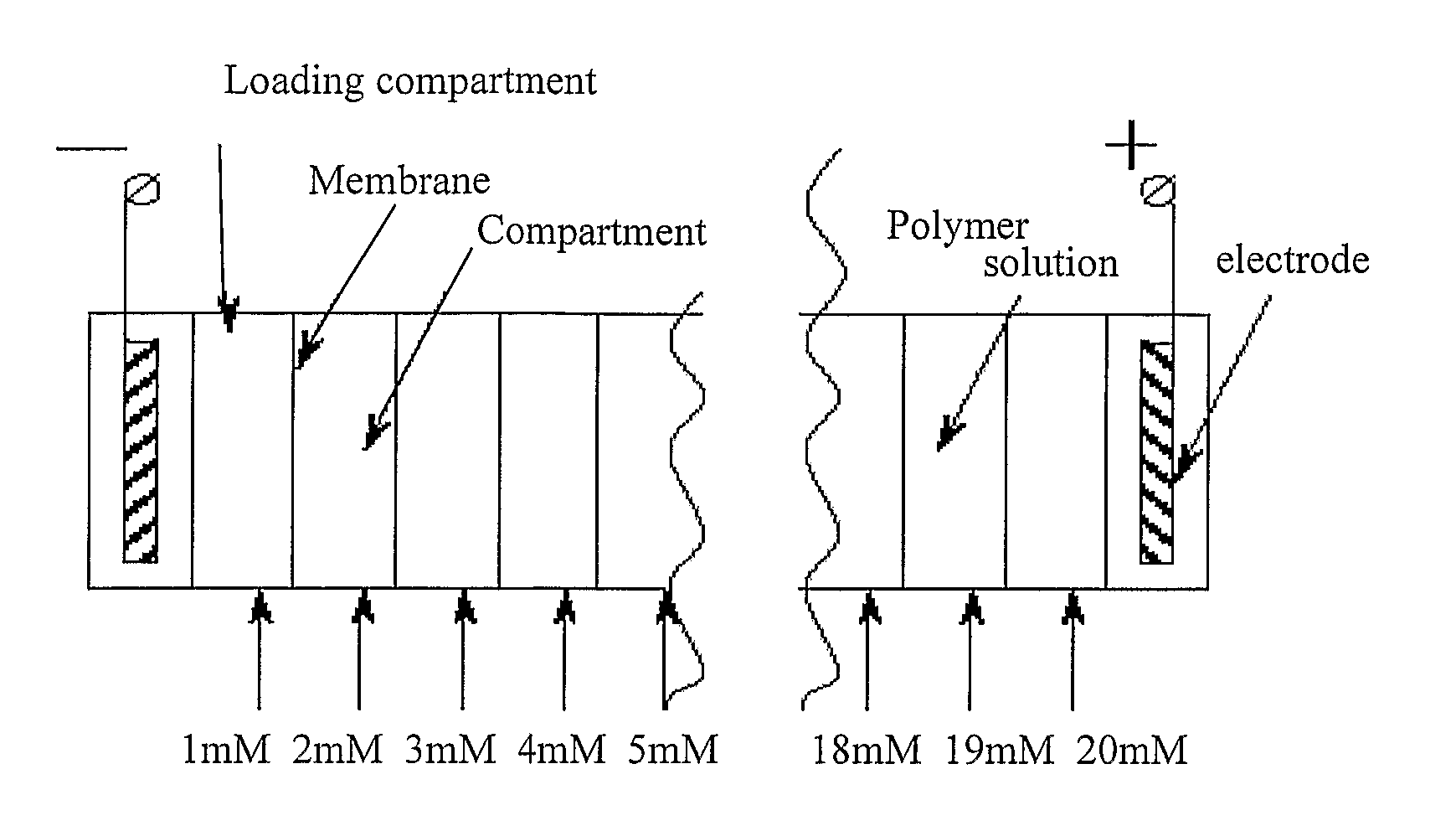 Electrophoretic Separation of Analytes by Molecular Mass