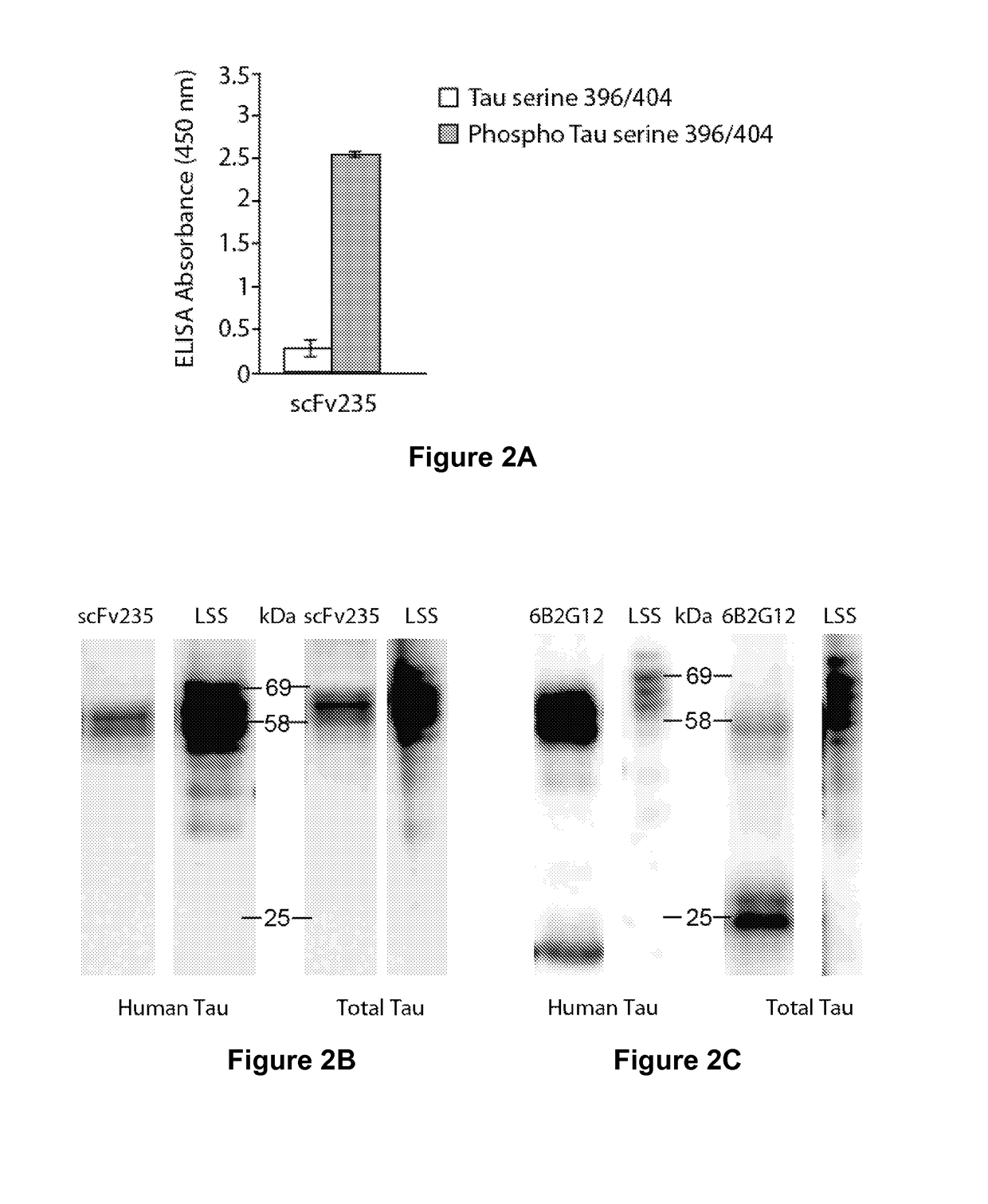 Tau imaging ligands and their uses in the diagnosis and treatment of tauopathy