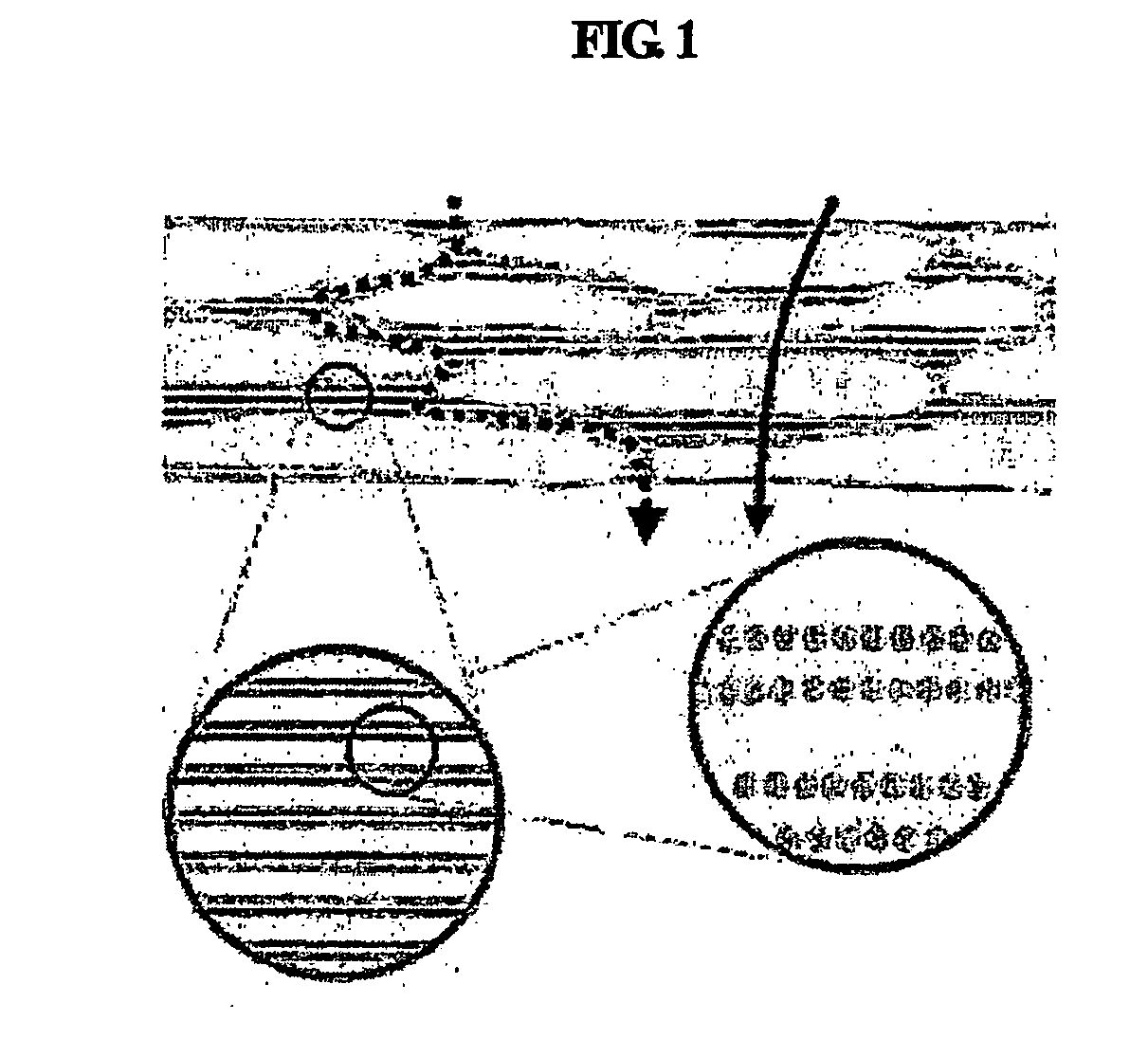 Multiple-layered liposome and preparation method thereof