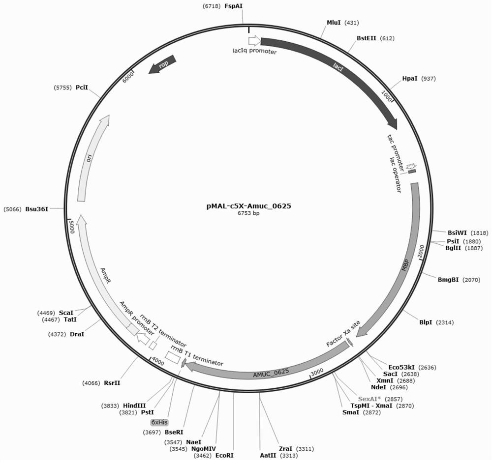 Preparation method of recombinant sialic acid excision enzyme, expression gene, recombinant expression vector and construction method