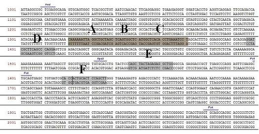 Method for transcriptional gene expression regulation and application