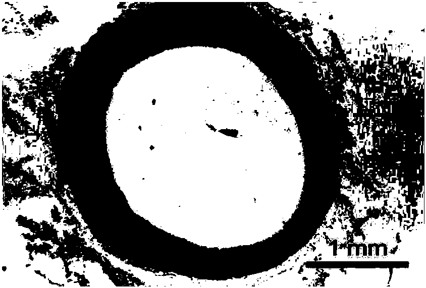 Drug-loaded balloon and preparation method thereof