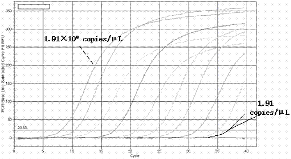 Detection method for CVA16 in environmental water body