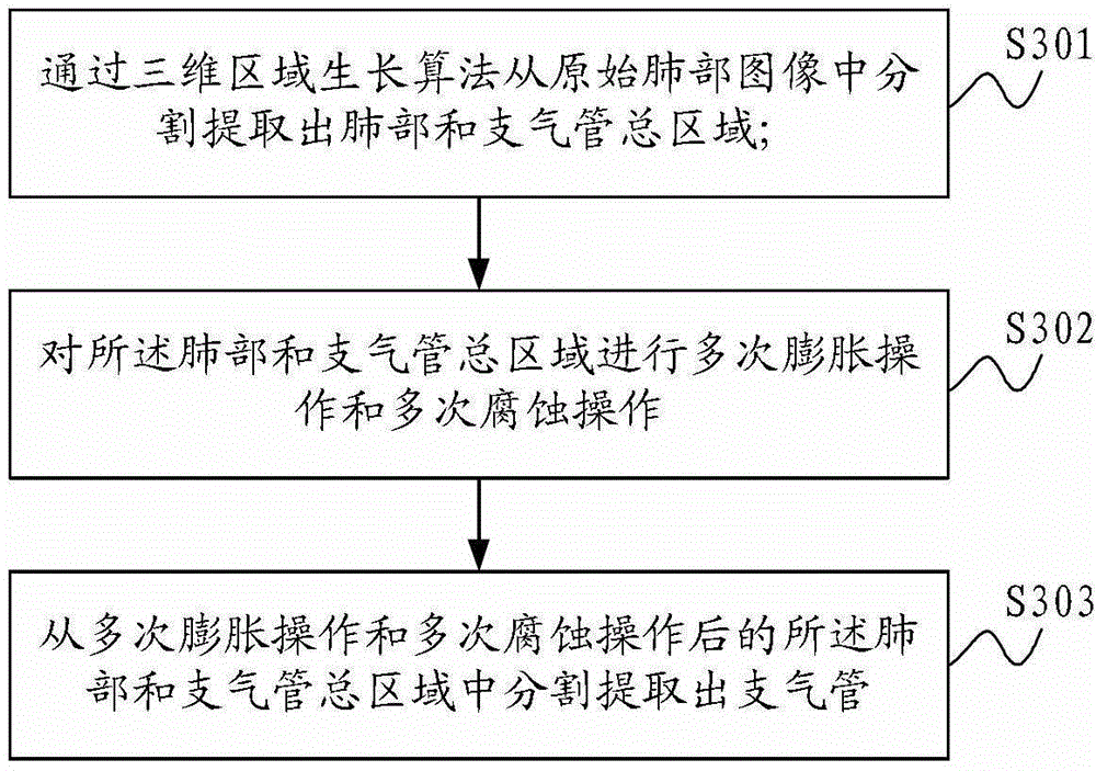 Bronchial division method and system