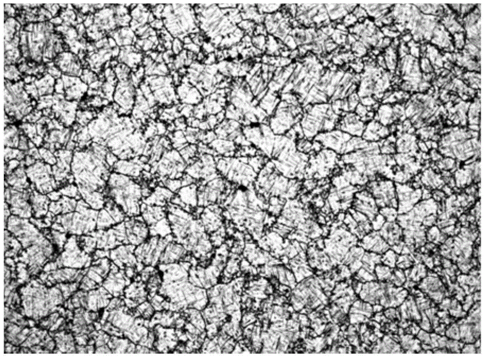 Preparation method of tibw/ti-6al-4v composite rod with quasi-continuous network structure