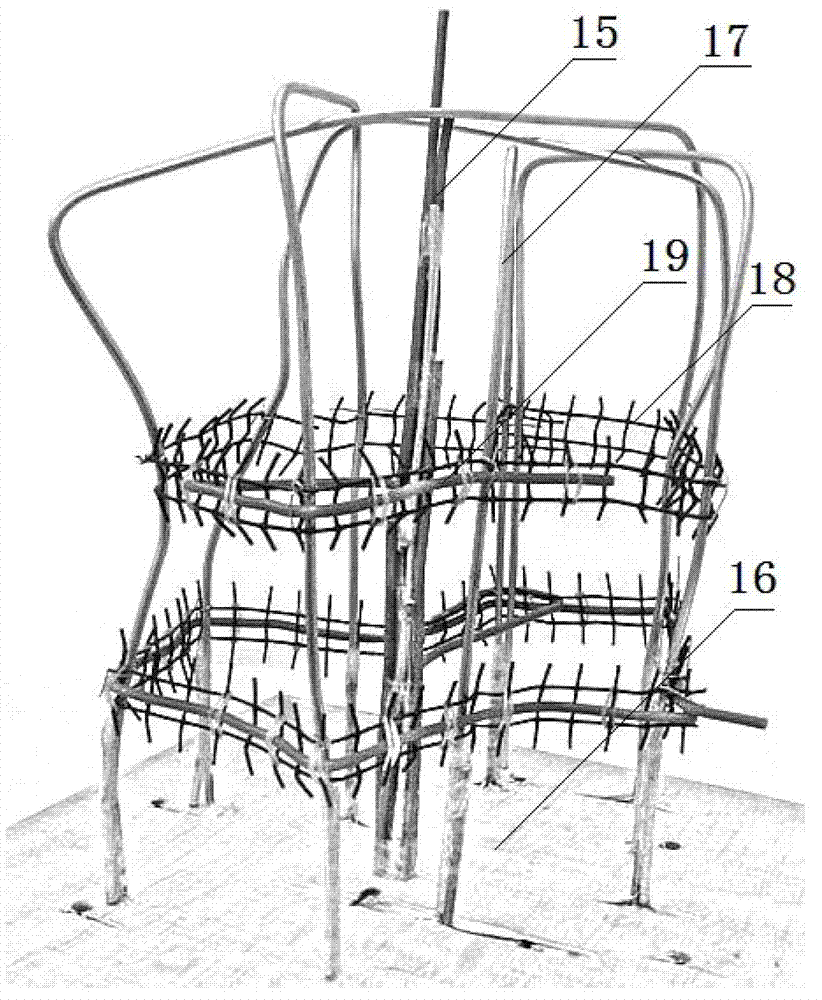 Ring trunk growth shaping method for Lagerstroemia trees in Lythraceae