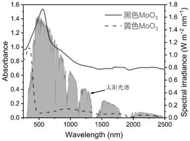 Black molybdenum trioxide nanosheet, preparation method and application thereof