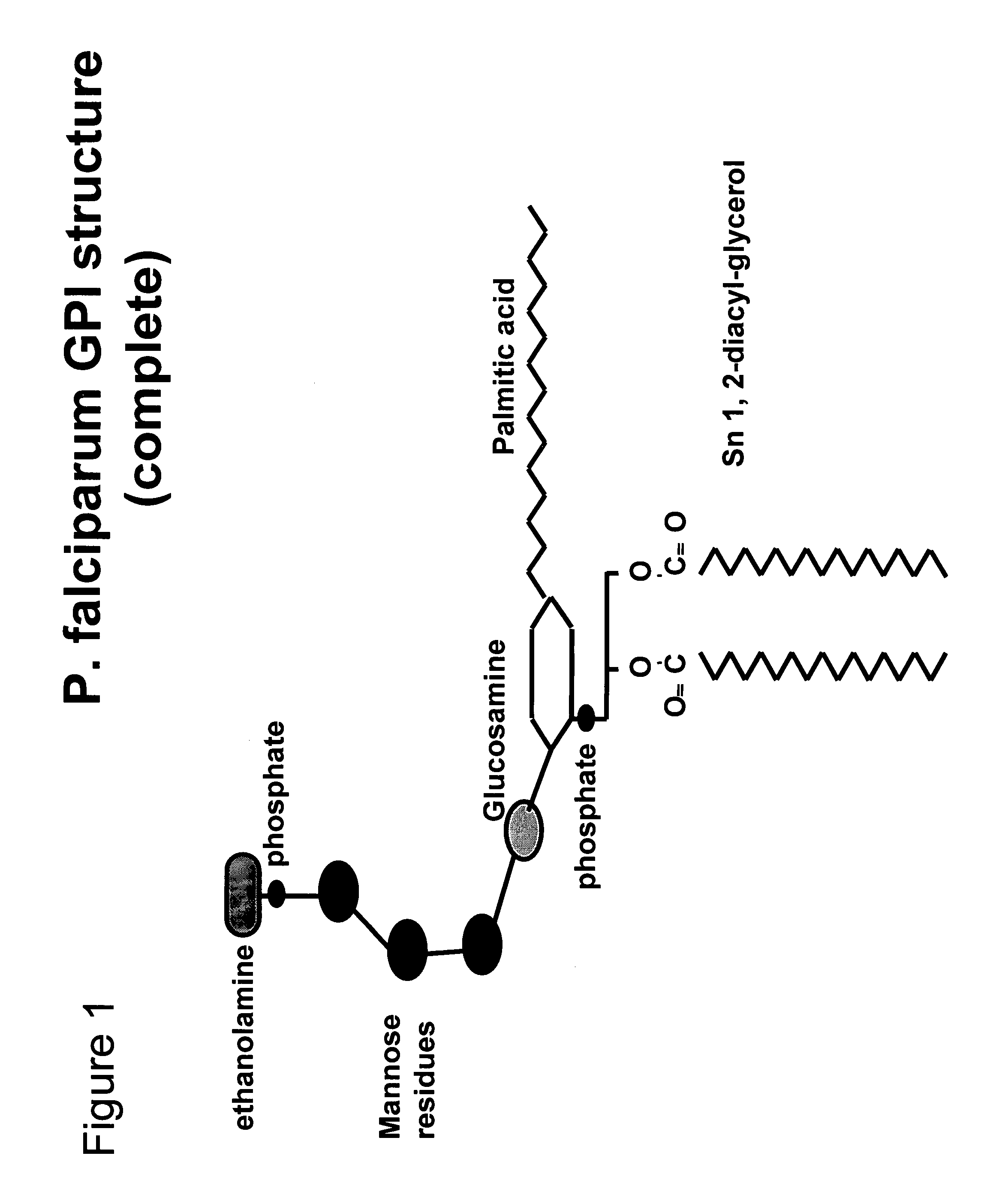 Immunogenic compositions and uses thereof