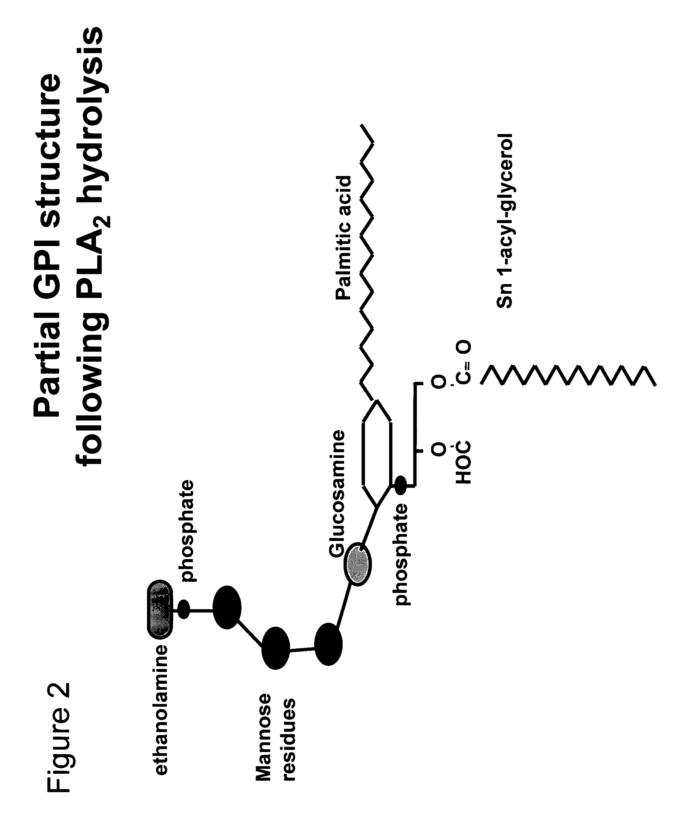 Immunogenic compositions and uses thereof