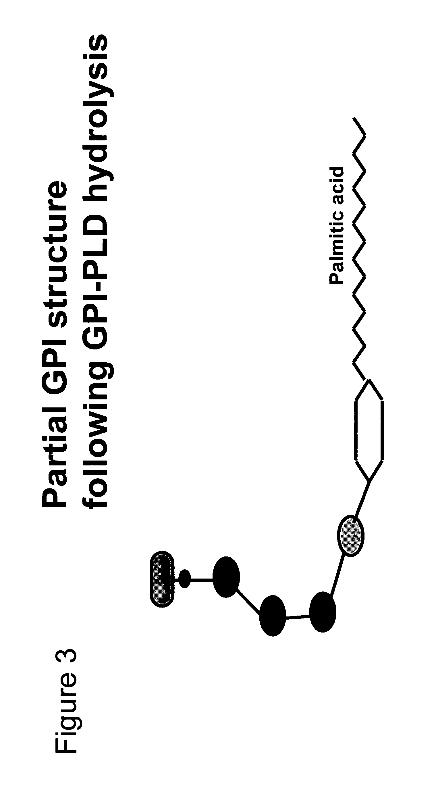 Immunogenic compositions and uses thereof