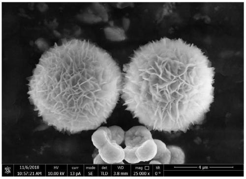 Flower cluster shaped calcium vanadate microsphere and preparation method thereof