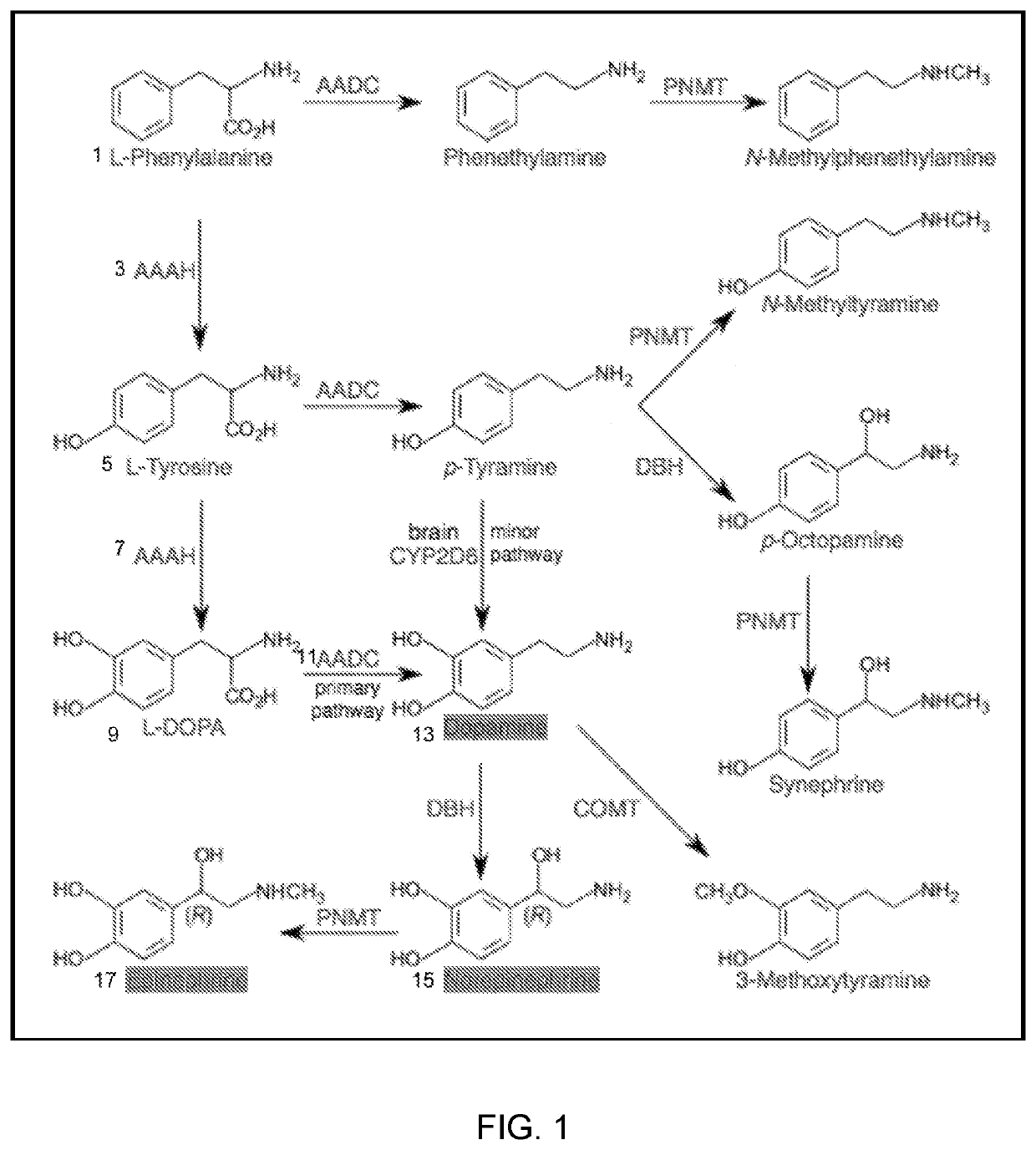 Methods for Dopamine Modulation in Human Neurologic Diseases