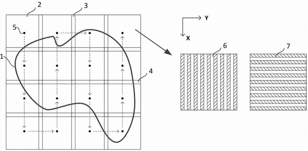 Structured light quick scanning microscopic imaging method